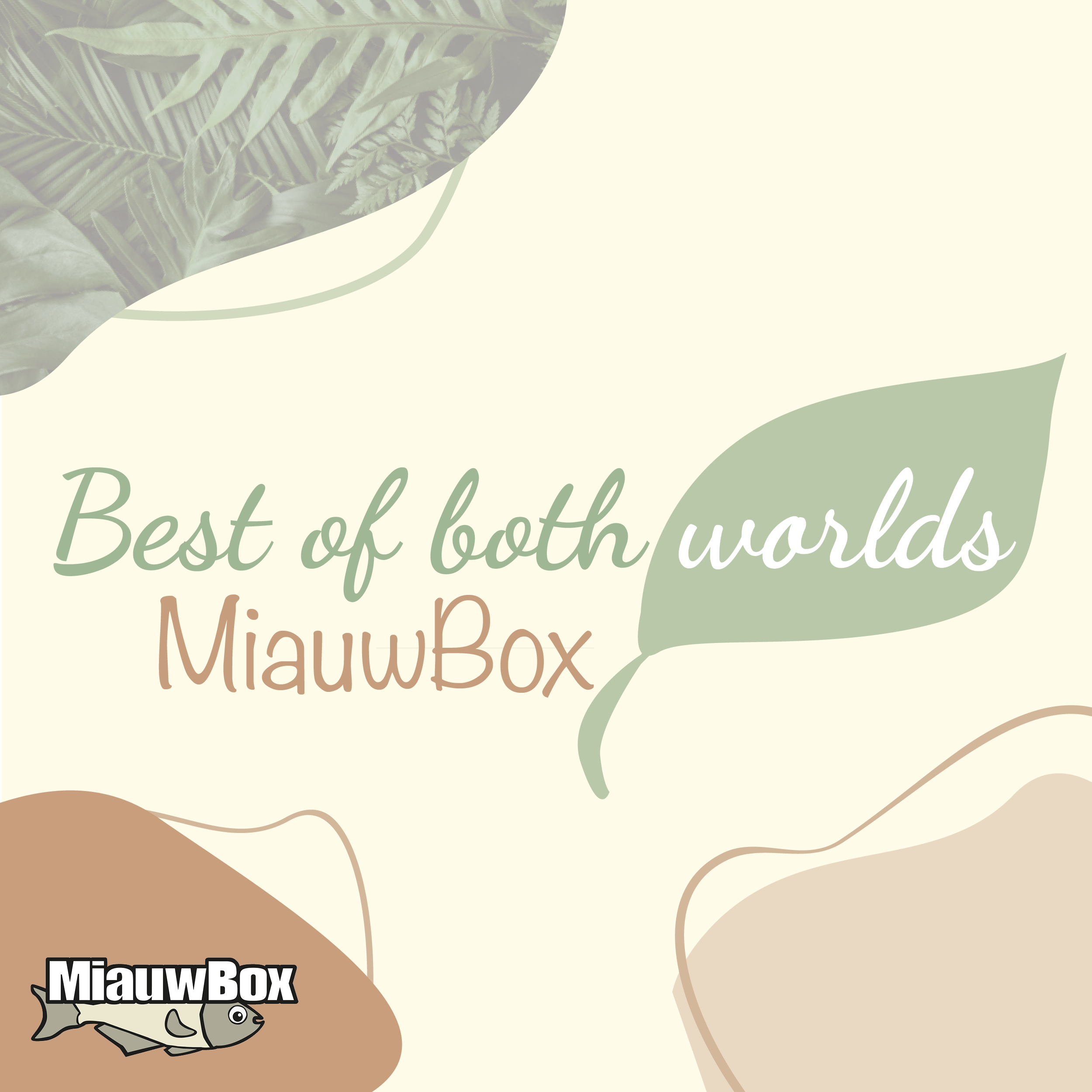 Best Of Both Worlds MiauwBox